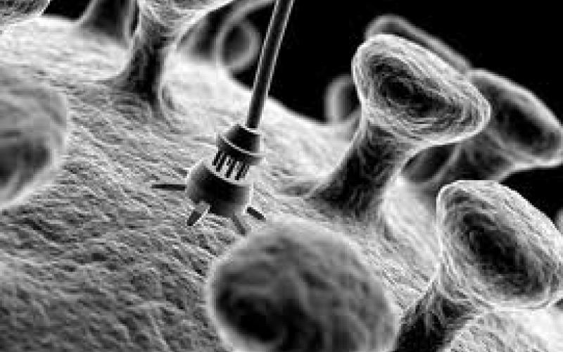 طالب أردني يحقق إنجازا بتقنية "النانو"