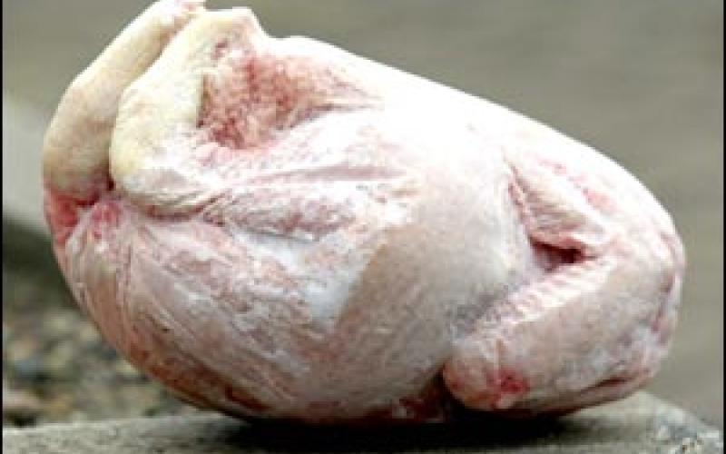 استيراد الدواجن المجمدة يلحق اضرارا بالمنتج المحلي