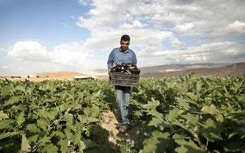 الزراعة تستبشر بالهطول المطري والمياه تدق ناقوس الخطر