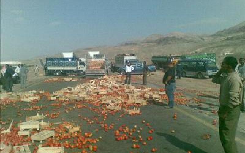 المزارعون يطالبون بإنشاء نقابة والاتحاد يقر بضعفه