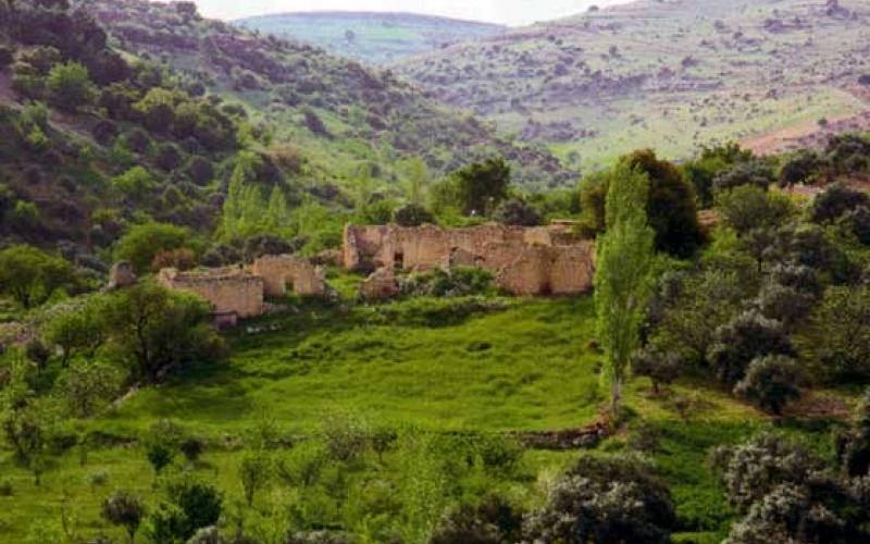 Syrian workers prohibited from entering Zor area for security reasons 