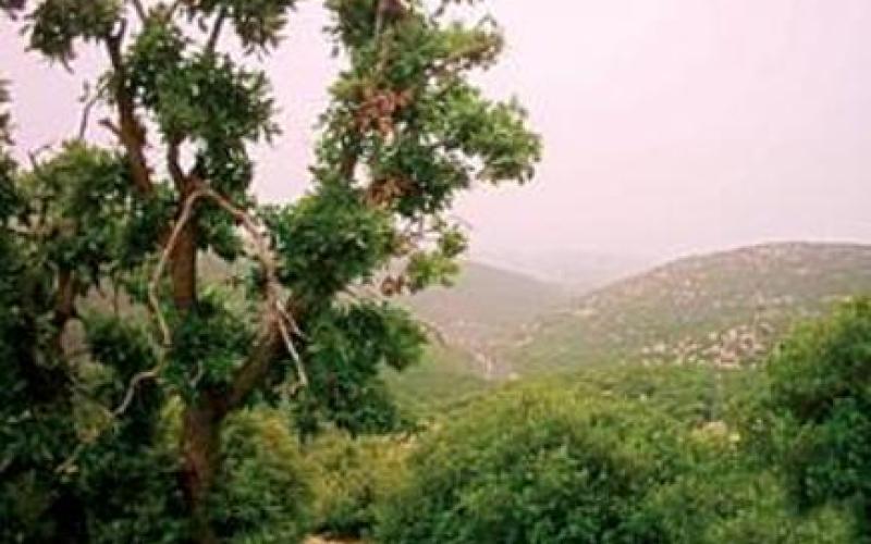 حتى لا تذهب مواردنا للذين لا يقدمون للعالم شيئا 