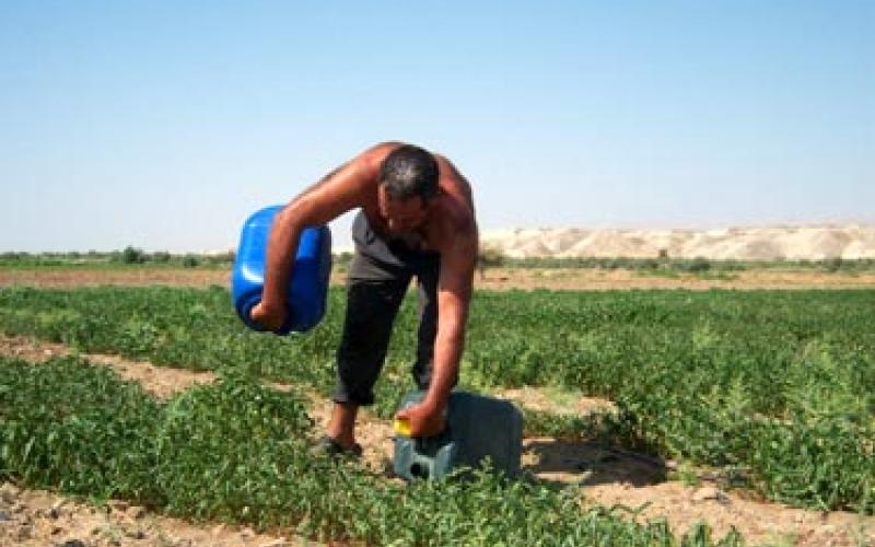  العمالة الوافدة في الزراعة.. شركاء في الخسارة فقط 