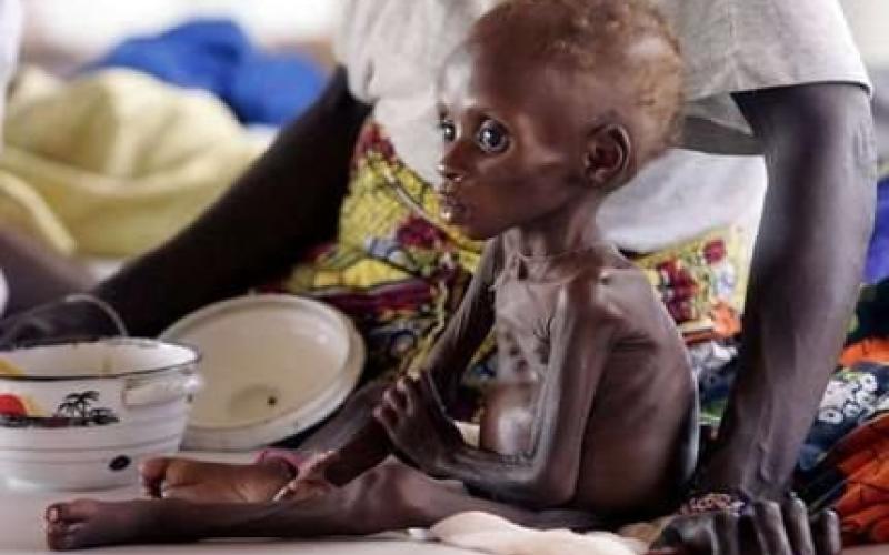  حملة للإغاثة .. وصوماليون في الأردن فارون من الكارثة (صوت)