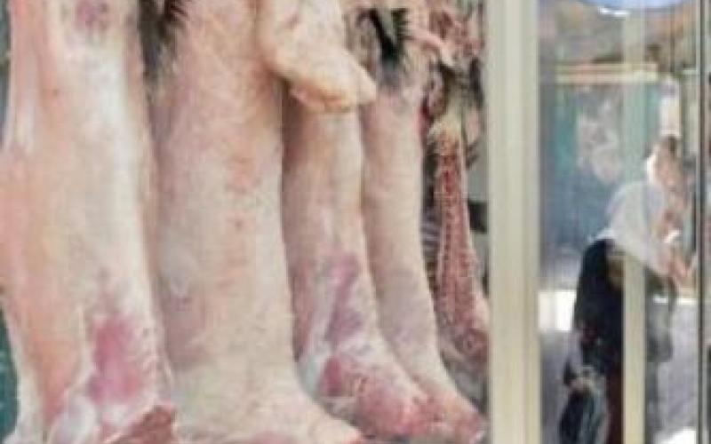 مطالبات بوقف استيراد الماشية الاثيوبية