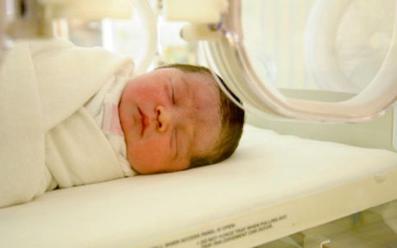 معدلات الانجاب في الاردن ما تزال مرتفعة 