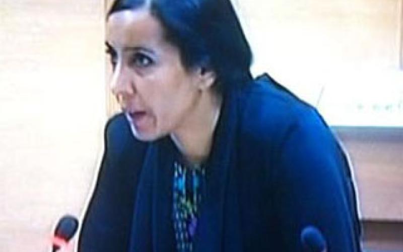 النائب السردية تتعرض لحادث سير