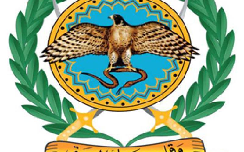 المخابرات تحقق مع 7 ناشطين من حي الطفايلة 