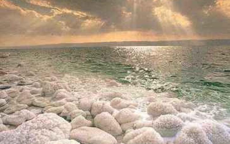 الفايز: البحر الميت استفاد رغم إخفاقه - صوت