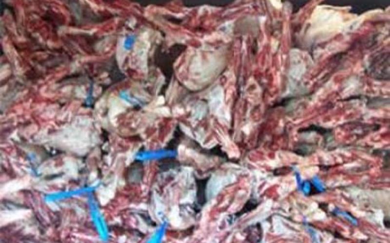 عمان دون رقابة صحية لليوم الثالث