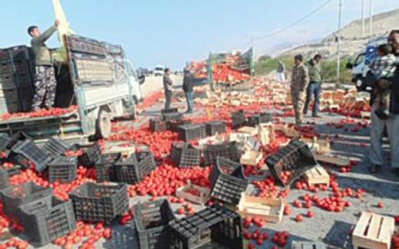 خسائر تكبدها المزارعون أمام تحديات عام 2011