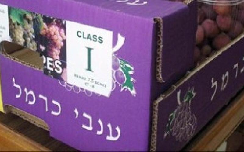 وزير الزراعة "لعمان نت": الخضار تأتي من السلطة وليس من إسرائيل