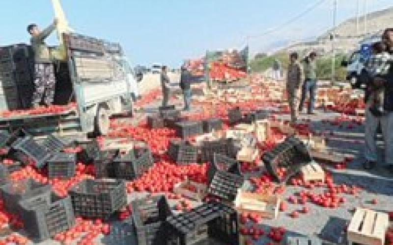 مزارعو غور الصافي يلوحون بإلقاء البندورة في الطريق العام