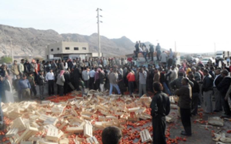 مزارعو الأغوار الجنوبية يعتصمون ضد "رخص" البندورة