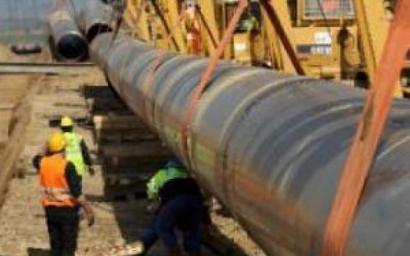 الغاز القطري في غضون ستة اشهر وليس بديلا عن المصري