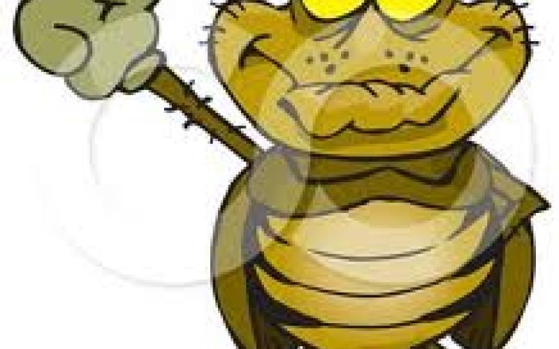 زوجتي و الصرصور !!