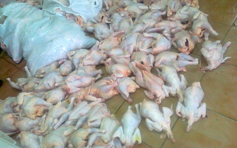 صور للمخالفات: الغذاء والدواء تنفذ 456 جولة تفتيشية