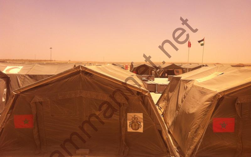 الزعتري " اصفر" 