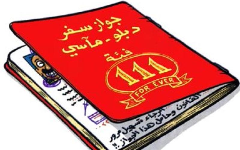 شاهد فيديو تصويت النواب على الجواز الدبلوماسي