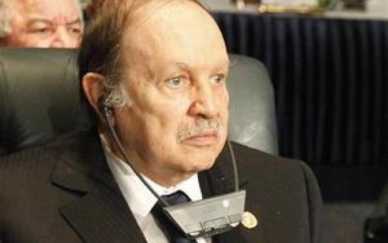 حكومة جديدة في الجزائر