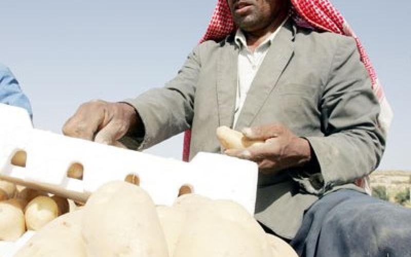 مزارعو وادي الاردن ينفذون اعتصاما مفتوحا 