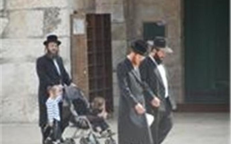 1300 مستوطن اقتحموا الأقصى خلال أيلول