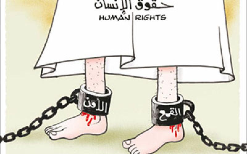 عن المنظمات الحقوقية 