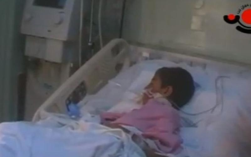 الكلاب الضالة.. همّ يؤرق أهالي مادبا - فيديو