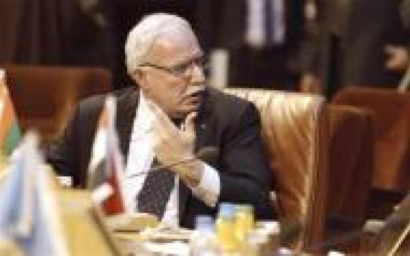  وفد من وزراء الخارجية العرب لزيارة غزة