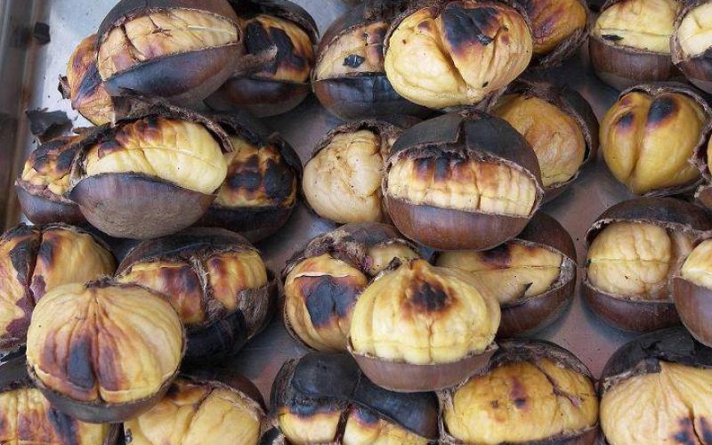 حضر الشتاء وحضرت الكستناء 