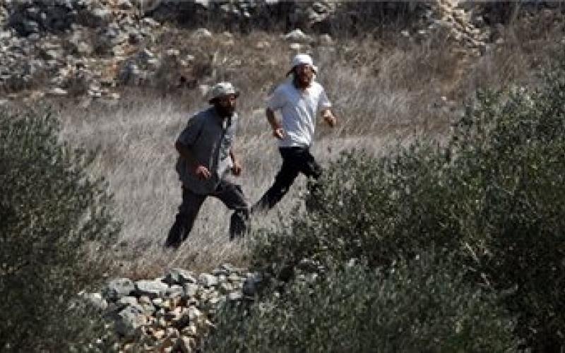 هجوم مستوطنين على منازل فلسطينيين في نابلس