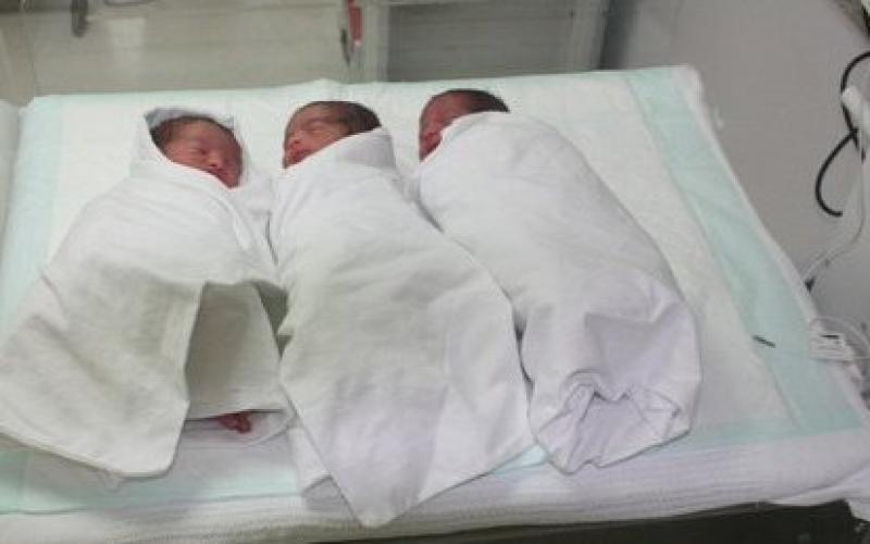 150 حالة ولادة في ايام الثلج 