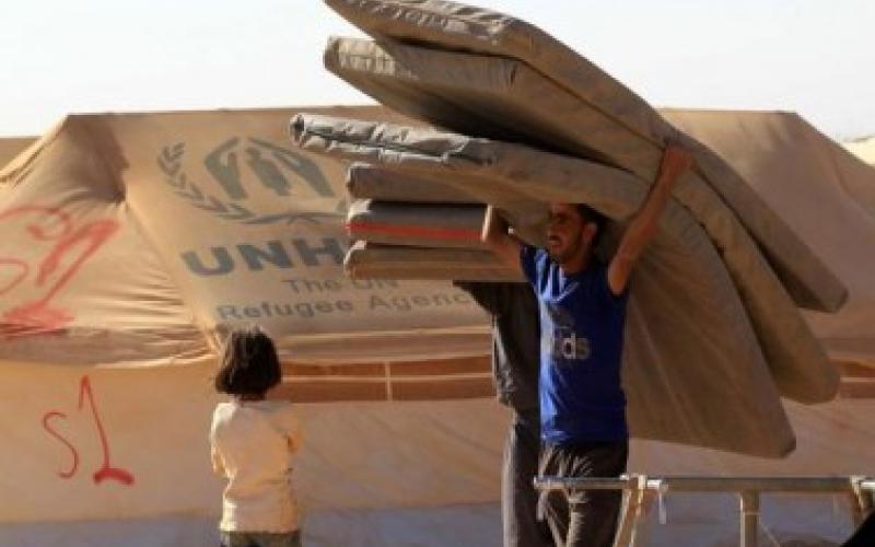 افتتاح مخيم "مريجب الفهود" في الـ 25 من الشهر الجاري