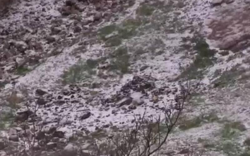 ثلوج عمان – فيديو