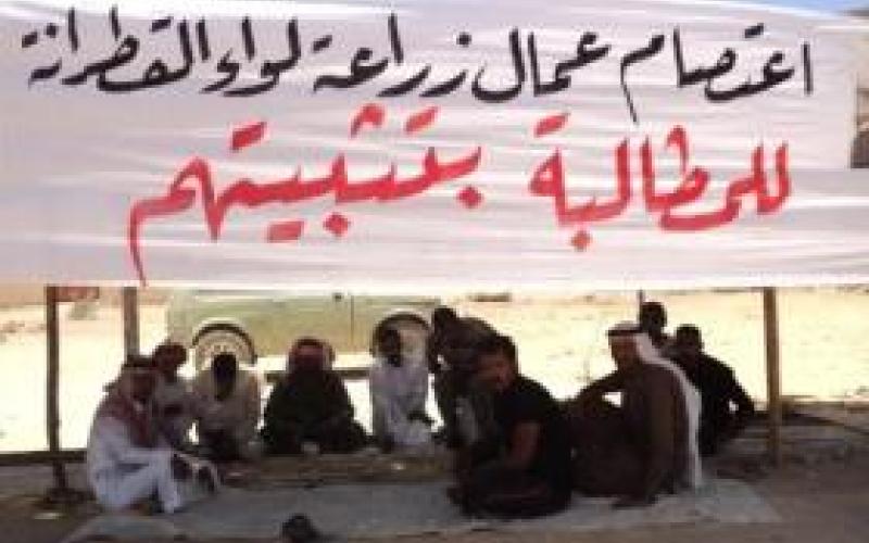 عمال مياومة زراعة الكرك وخيبة امل 