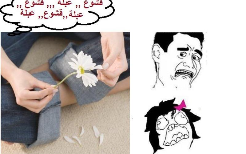 الحلقة 27 من مسلسل عبلة وحازم 