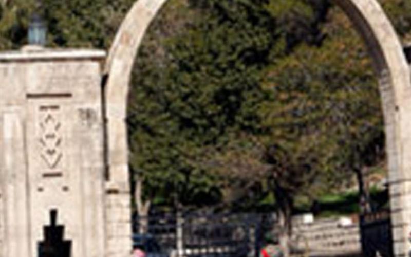 عشائر النعيمات أمام الديوان الملكي احتجاجا على الانتخابات 