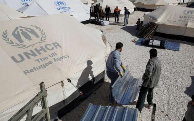 دور المفوضية السامية تجاه اللاجئين واجبات وحقوق- صوت