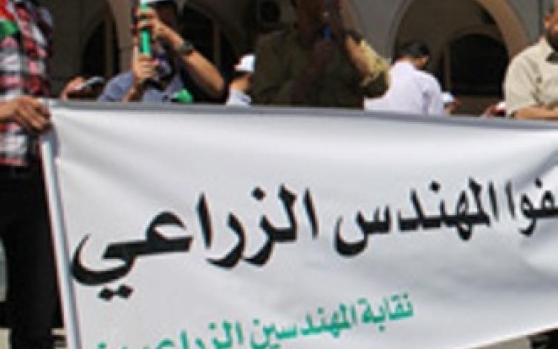 "المهندسين الزراعيين": قرار إعدام بحق شجر الزيتون