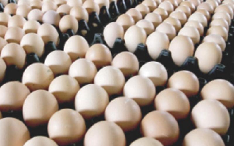 الصناعة والتجارة تحدد اسعار البيض