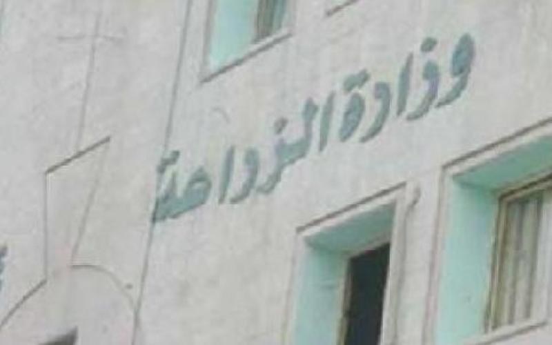 وزير الزراعة يتعهد بتثبيت عمال المياومة 