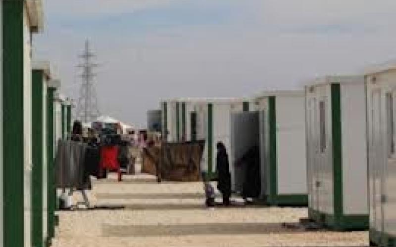 سقط الأسد ! - صوت