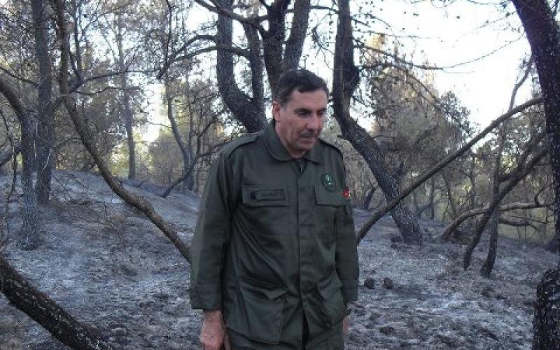 بيئيون يرفضون اقصاء الشرمان عن إدارة الحراج 