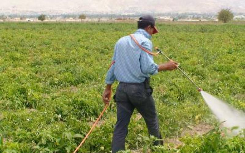 العوران : مصير الزراعة يحدد منتصف العام 