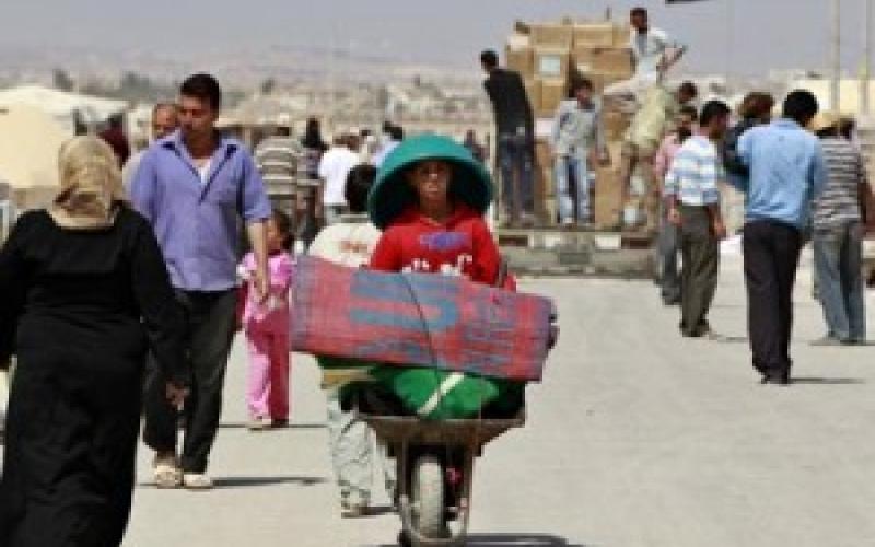 لاجئون سوريون في سوق العمل