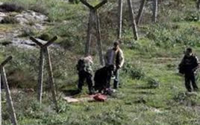 القبض على 90 متسللاً من الأراضي السورية