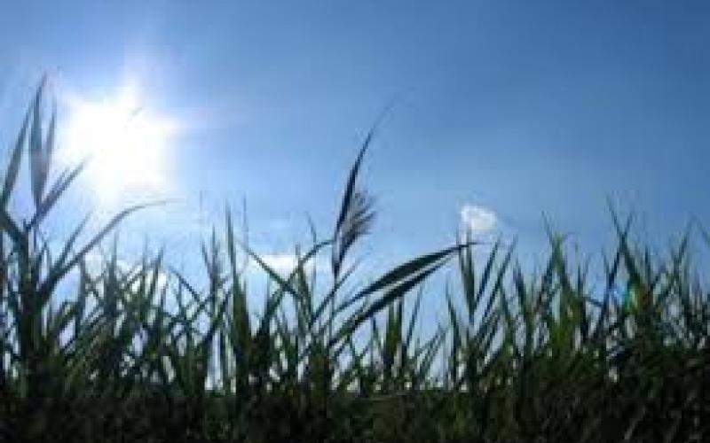 اجواء صيفية