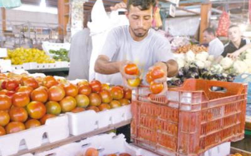 استقرار أسعار الخضار على ارتفاع (صوت)