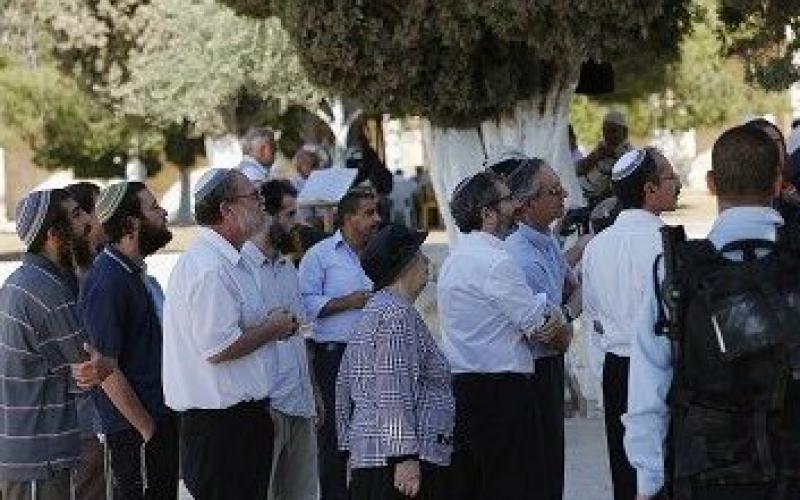 اقتحامات الأقصى مستمرة.. والمطلوب دور أردني أكبر