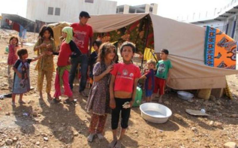 مجموعات من النّور تعيث في الزرقاء وتثير استياء واسعا (فيديو)